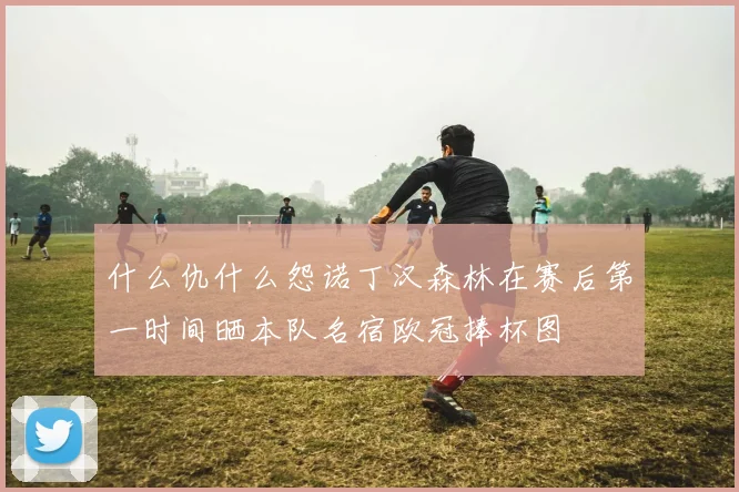 什么仇什么怨诺丁汉森林在赛后第一时间晒本队名宿欧冠捧杯图