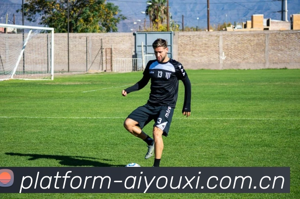 爱游戏体育品牌故事